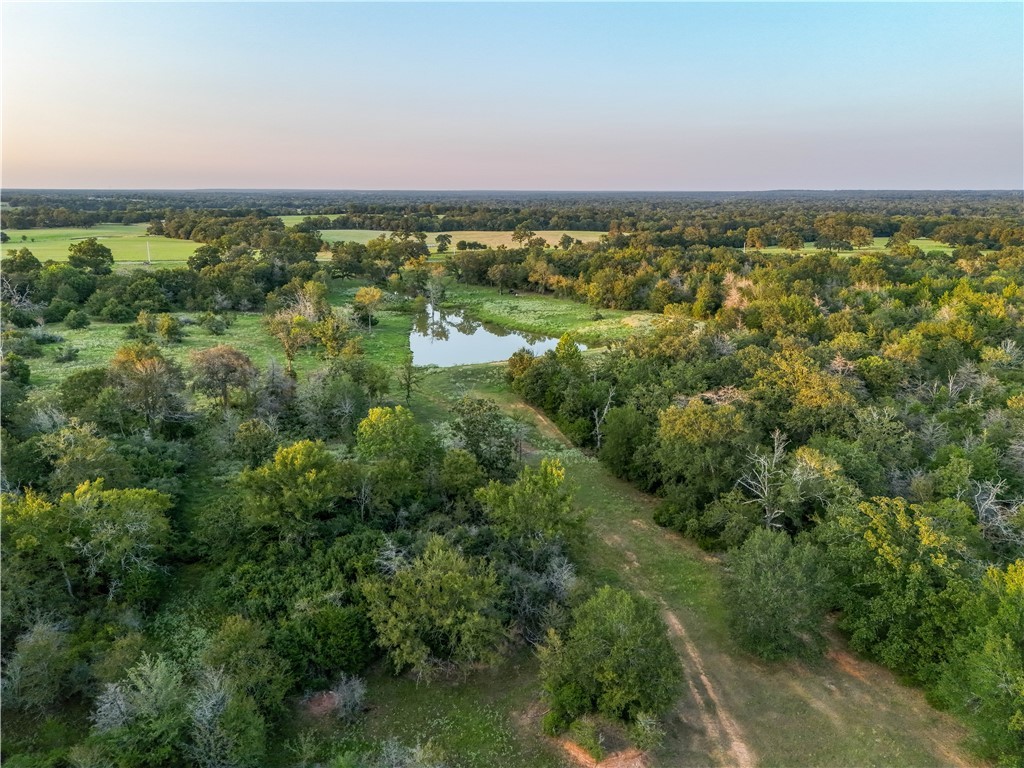 17497-495 Wilson Pasture Road Bryan, TX 77808 - Photo 10 of 50 view of a green field with lots of trees