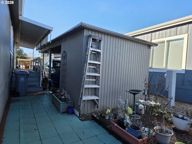 a view of a backyard with potted plants