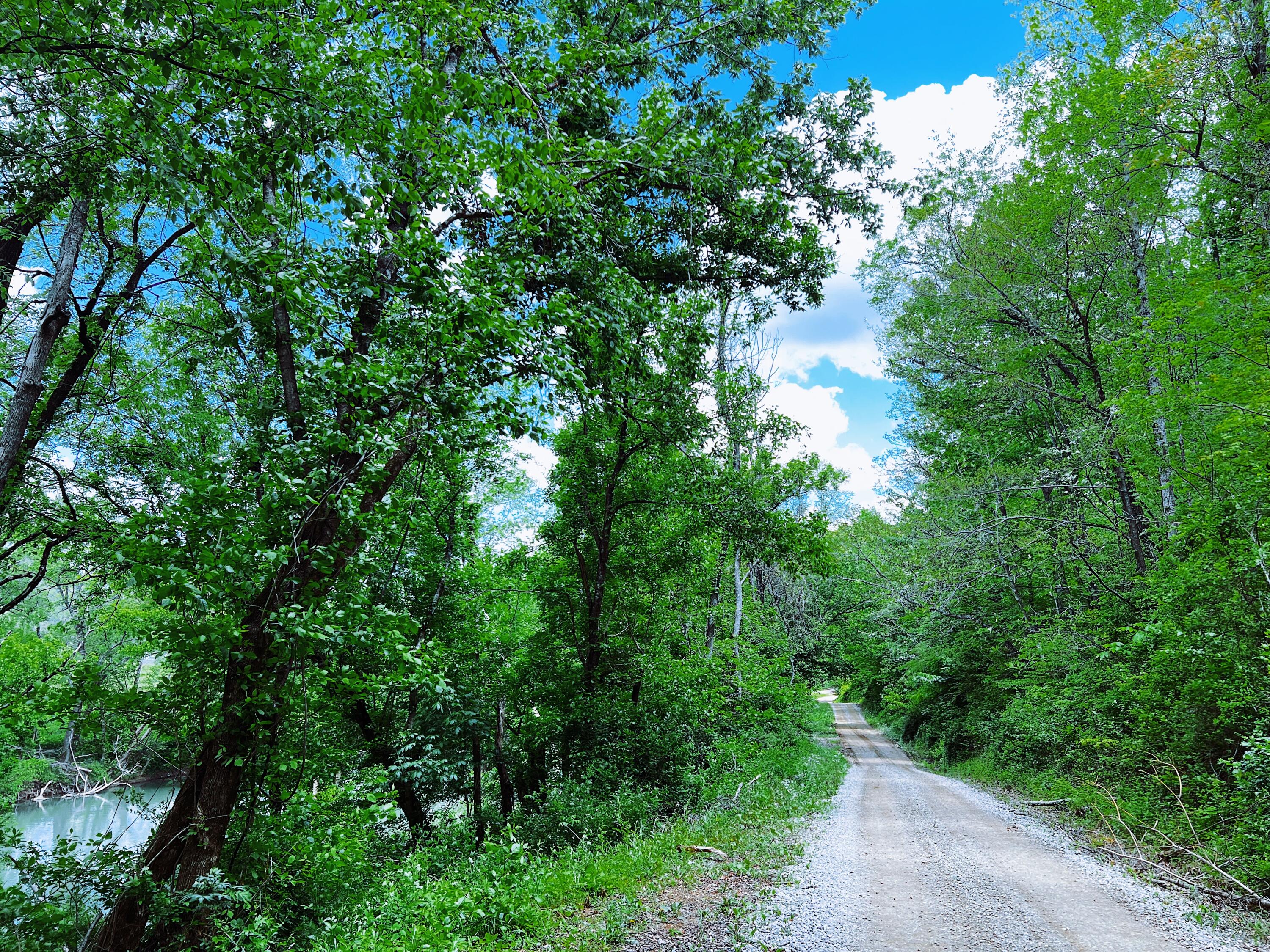 9999 Upper Wolf Creek Road Ricetown, KY 41364 - Photo 8 of 19 6EB17139-1A42-4A1E-920A-E45BE65DEED1