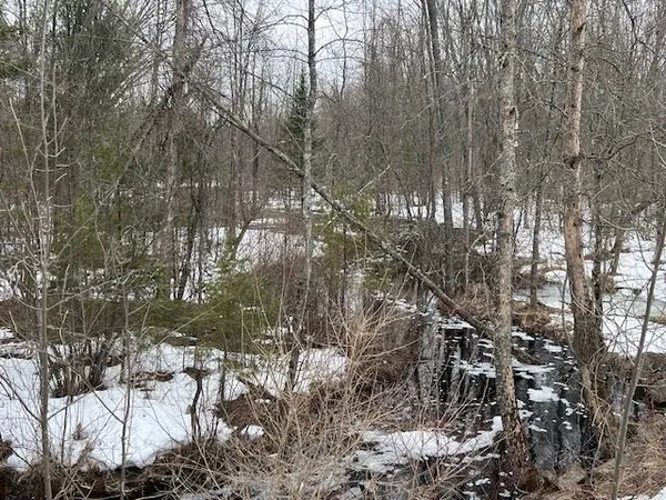 $375,000 | N16542 Dam Road, Pembine, WI 54156