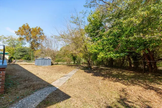 a view of a yard with plants and trees