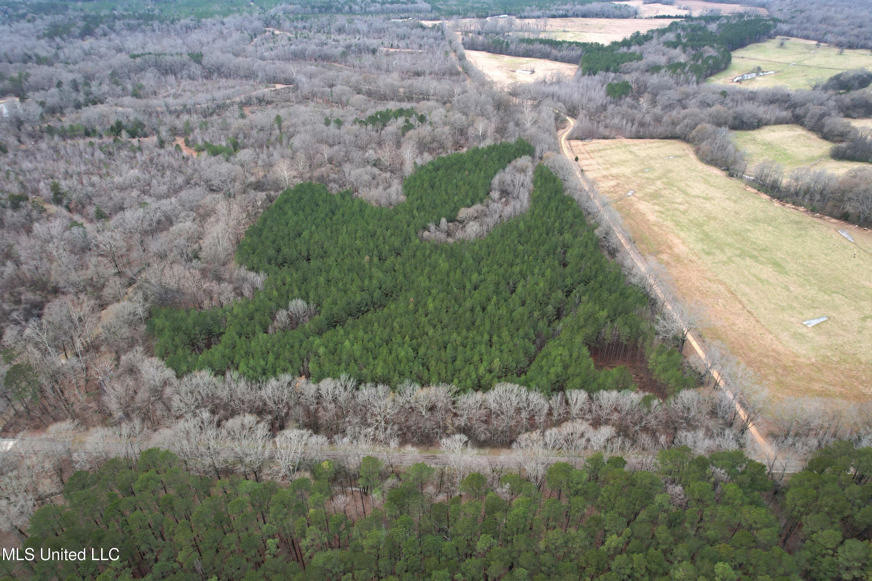 Dry Grove Road Terry, MS 39170 - Photo 2 of 22 DJI_0571