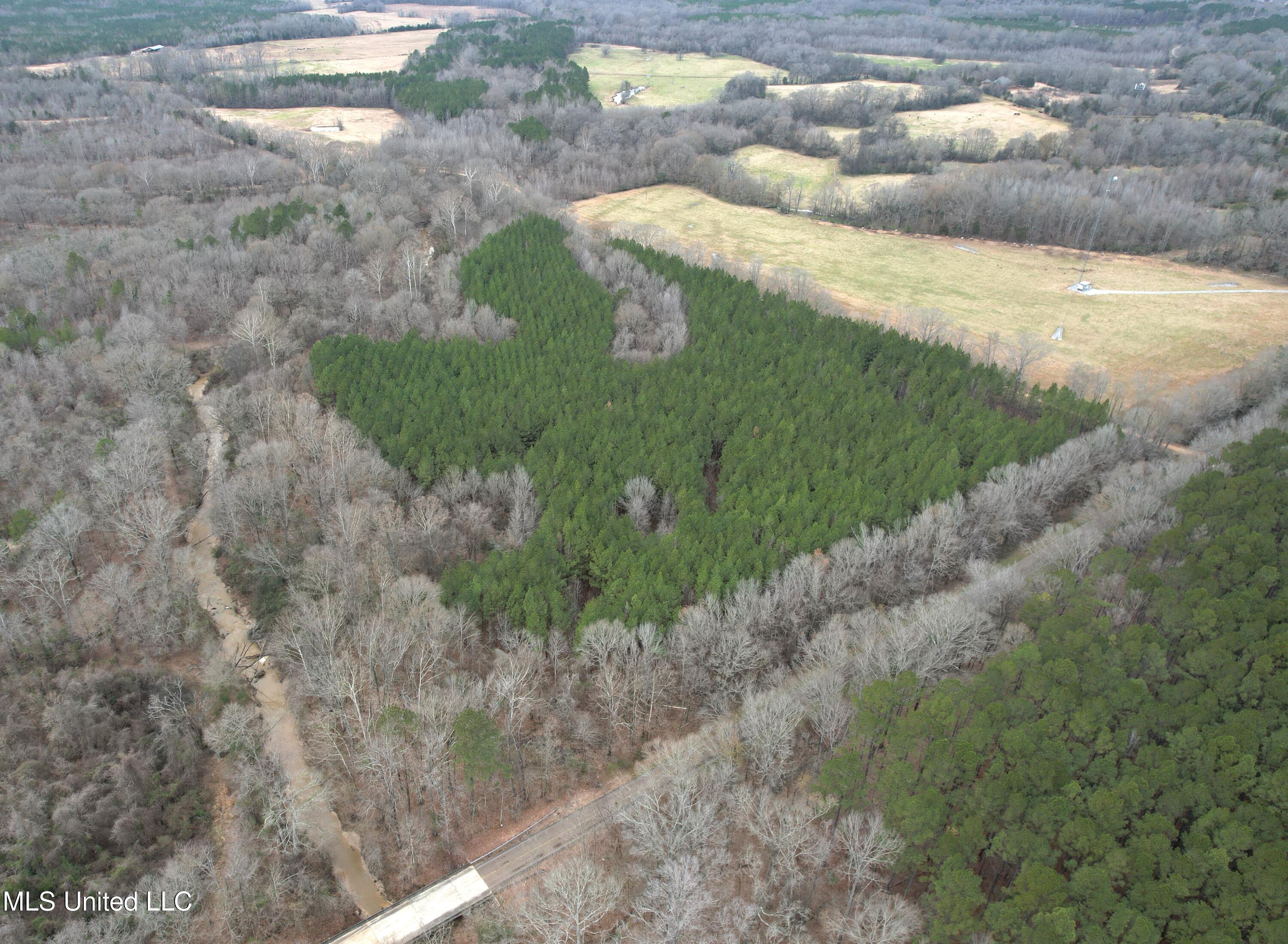 Dry Grove Road Terry, MS 39170 - Photo 3 of 22 DJI_0572