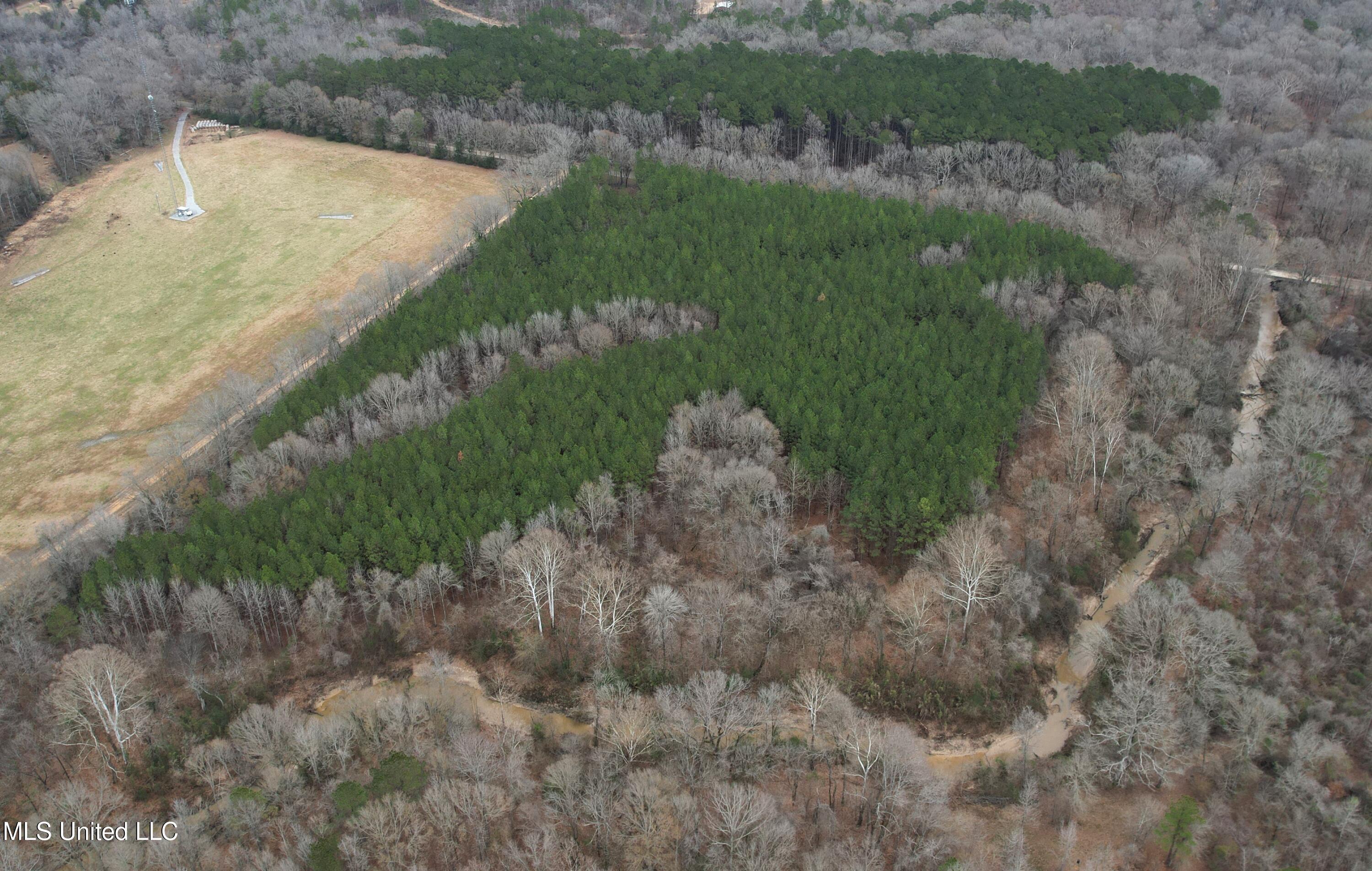 Dry Grove Road Terry, MS 39170 - Photo 4 of 22 DJI_0575