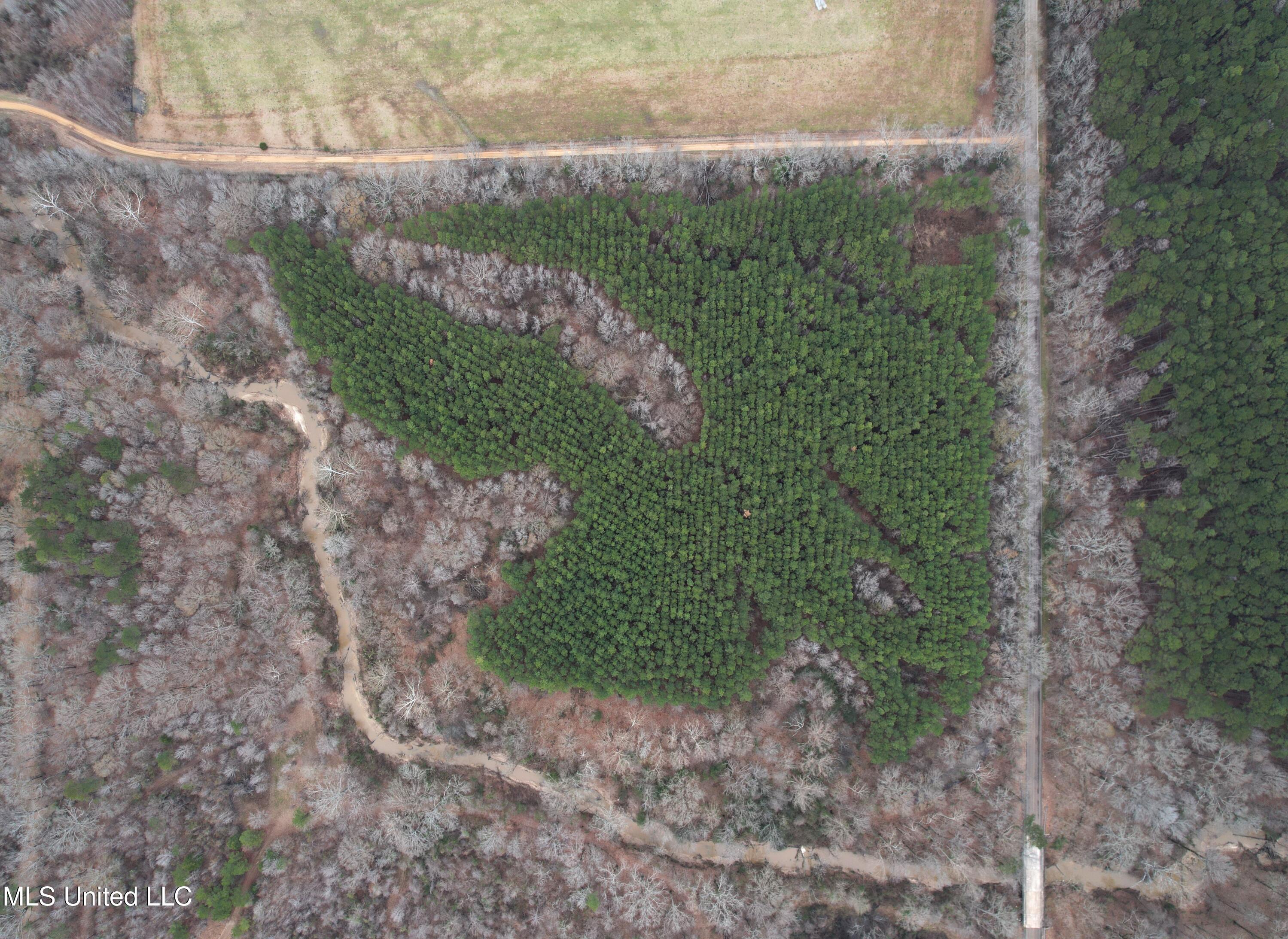 Dry Grove Road Terry, MS 39170 - Photo 6 of 22 Drone 1