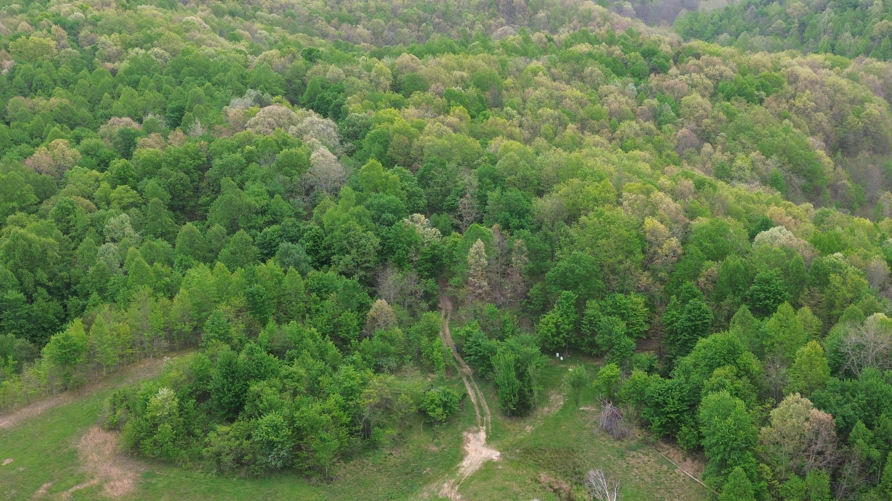 1271 A Tunnel Ridge Road Grayson, KY 41143 - Photo 103 of 134 Clearing