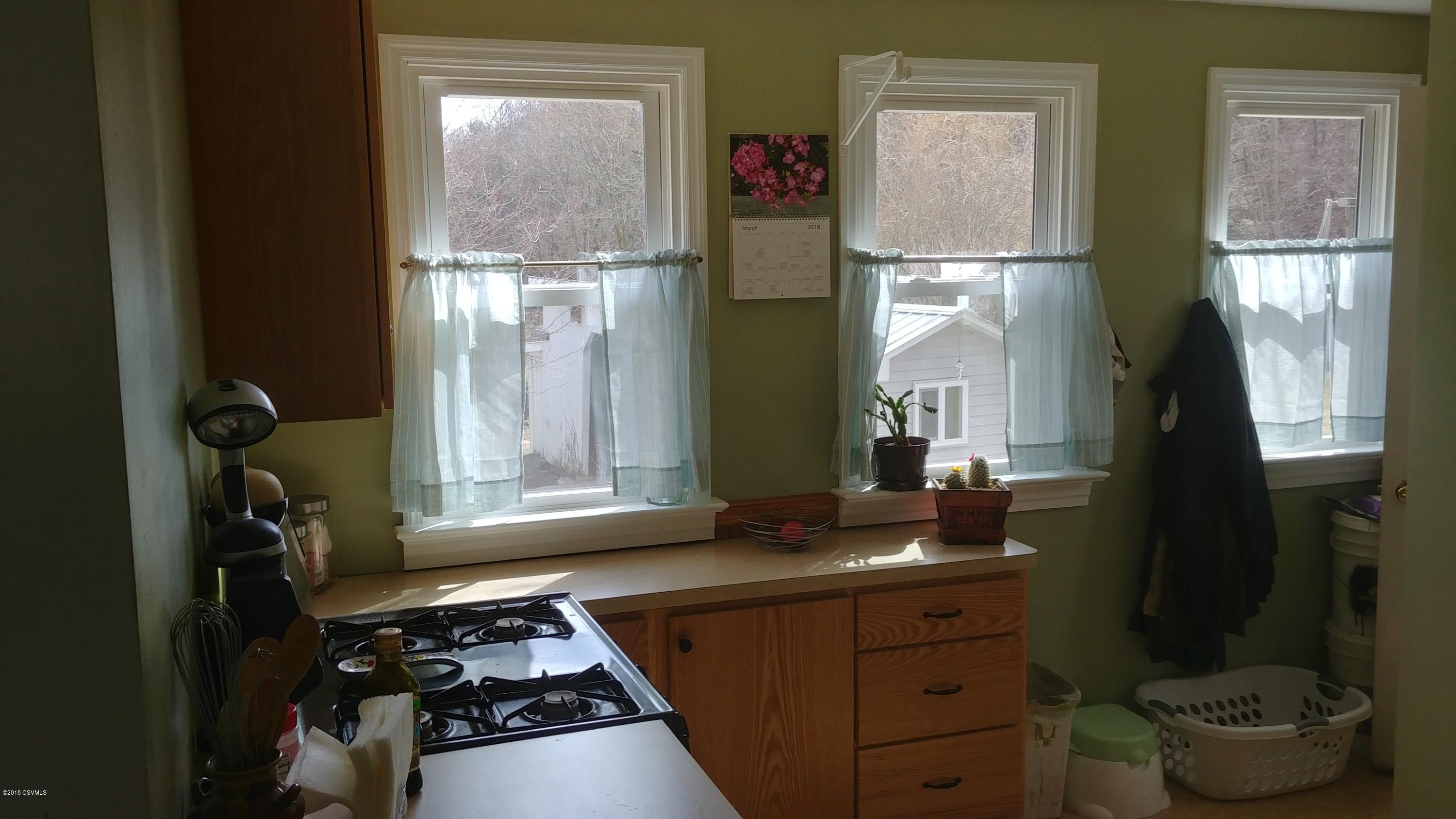 4462 Hoffer Road Port Trevorton, PA 17864 - Photo 4 of 33 Gallery Image 4