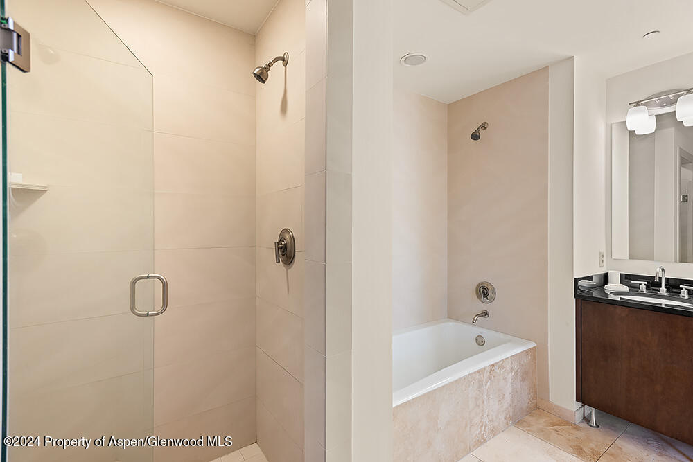 361 Robinson Street, Unit 326 Basalt, CO 81621 - Photo 16 of 17 Primary Bathroom