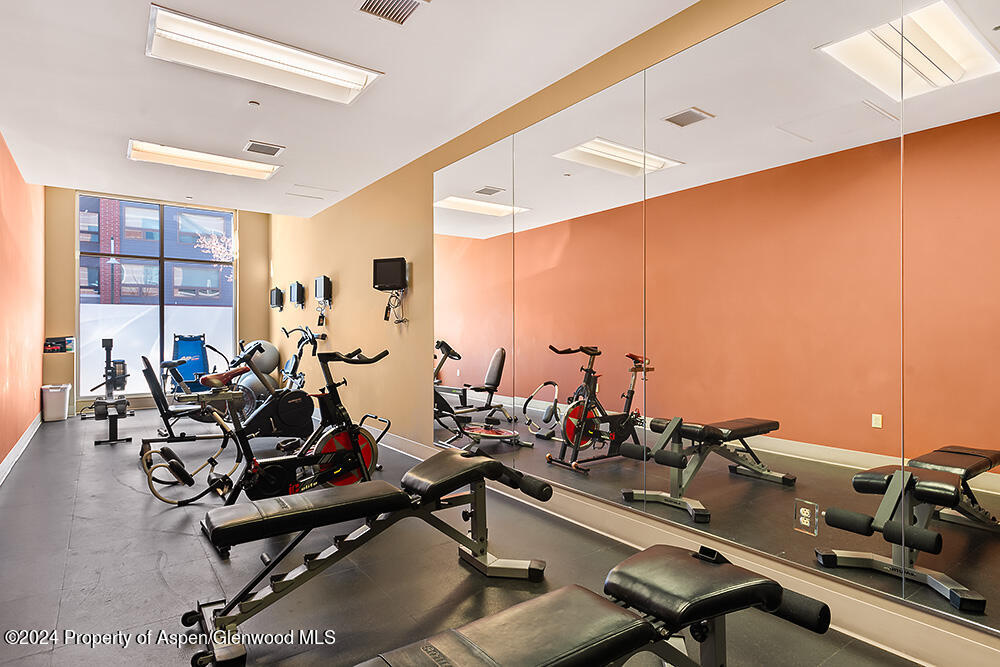 361 Robinson Street, Unit 326 Basalt, CO 81621 - Photo 4 of 17 Gym