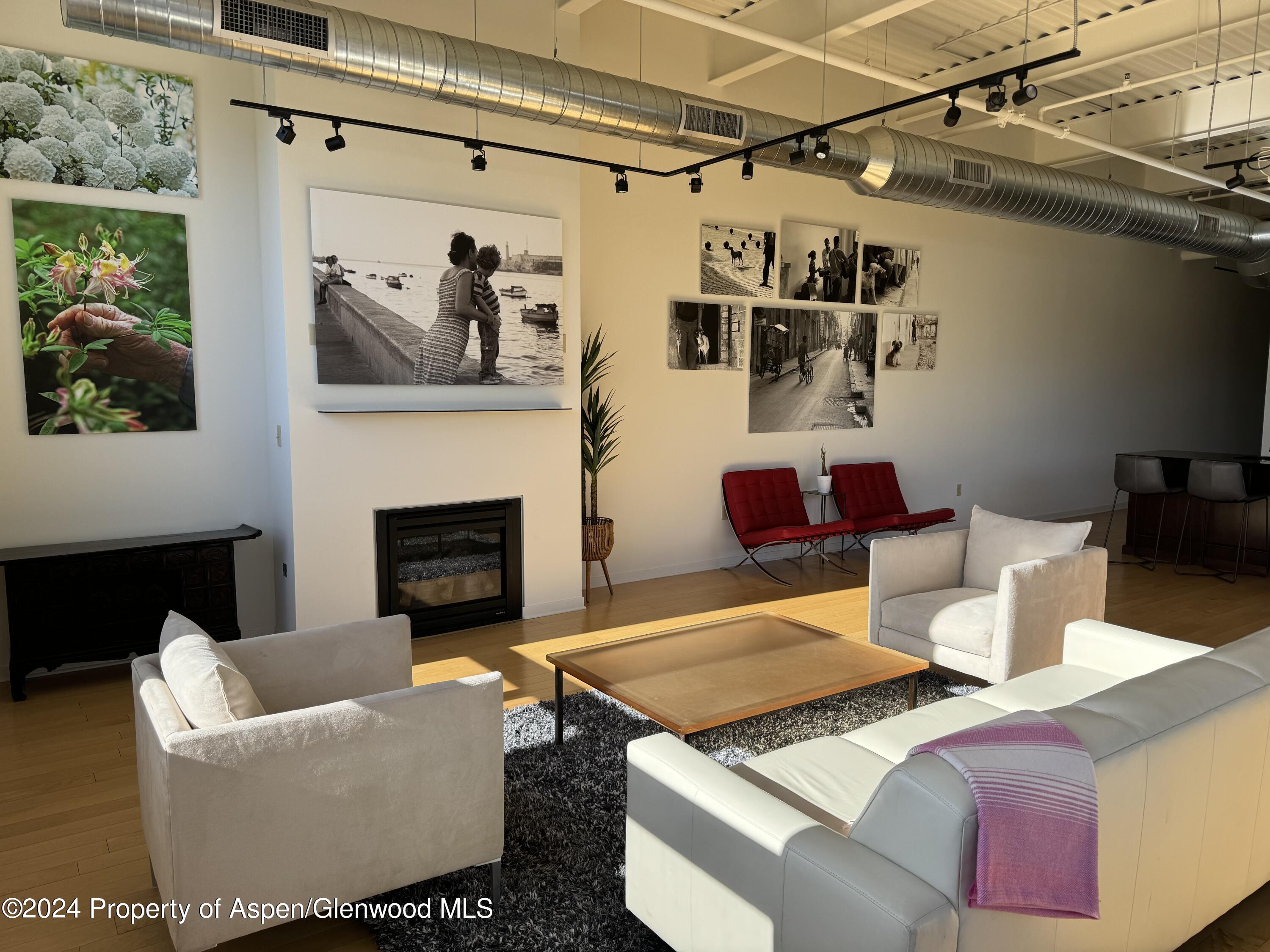 361 Robinson Street, Unit 326 Basalt, CO 81621 - Photo 6 of 17 IMG_0383