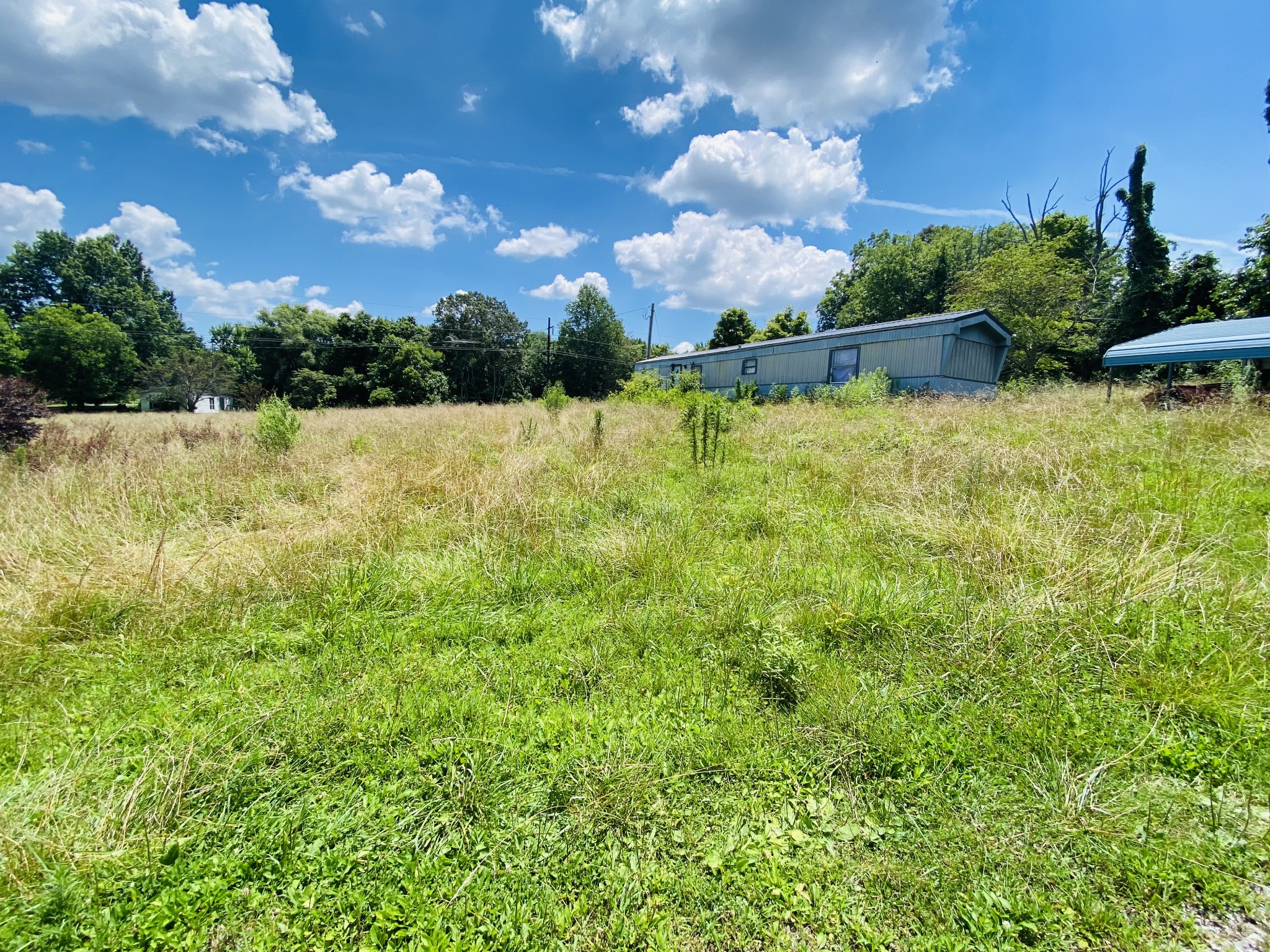1005 Highpoint Lane Chapmansboro, TN 37035 - Photo 1 of 12 a view of a yard with swimming pool and green space