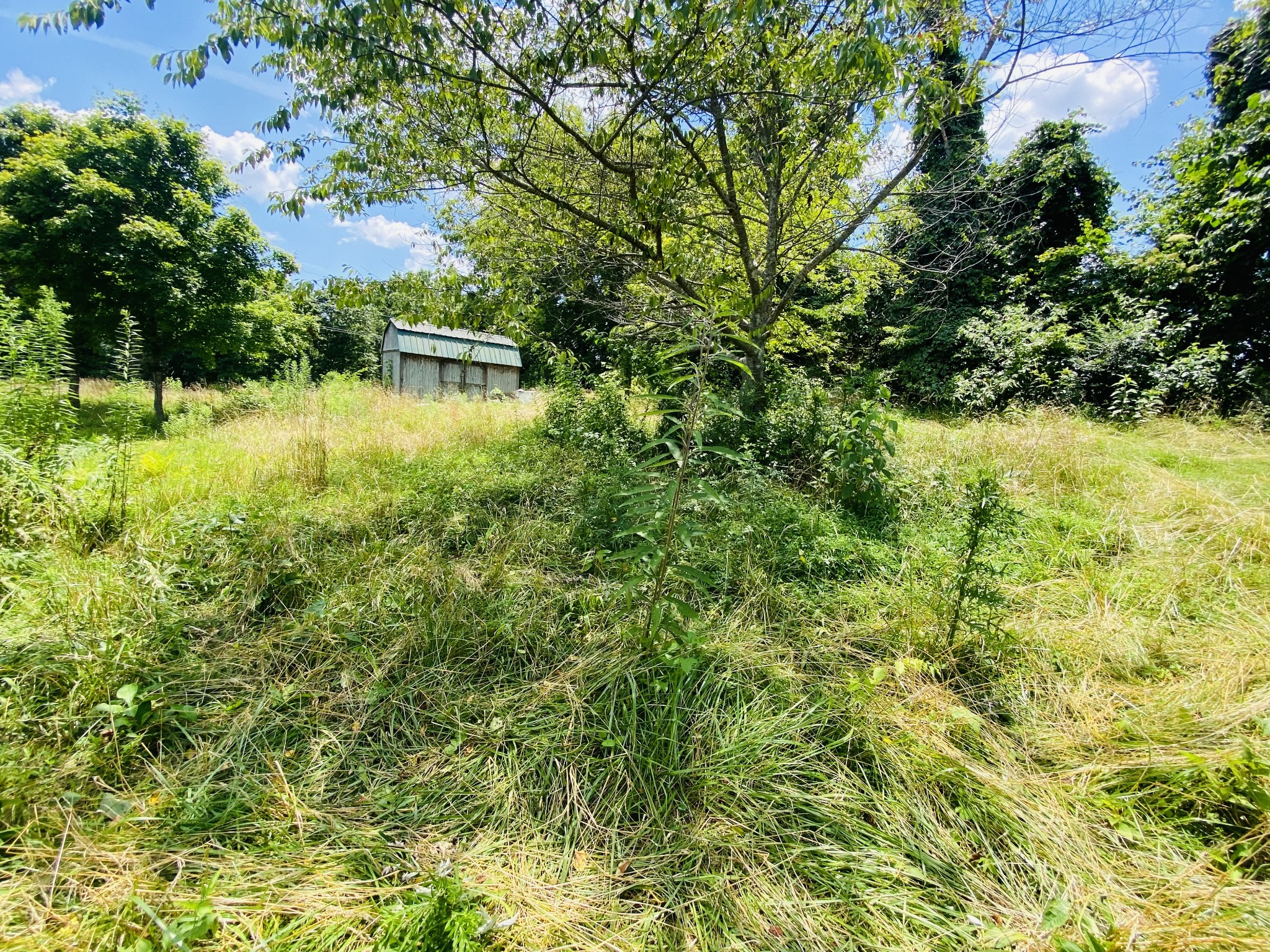 1005 Highpoint Lane Chapmansboro, TN 37035 - Photo 3 of 12 a view of yard with green space
