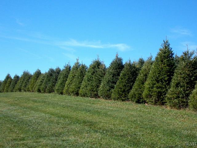 937 Mill Road Lehighton, PA 18235 - Photo 11 of 29 Gallery Image 11