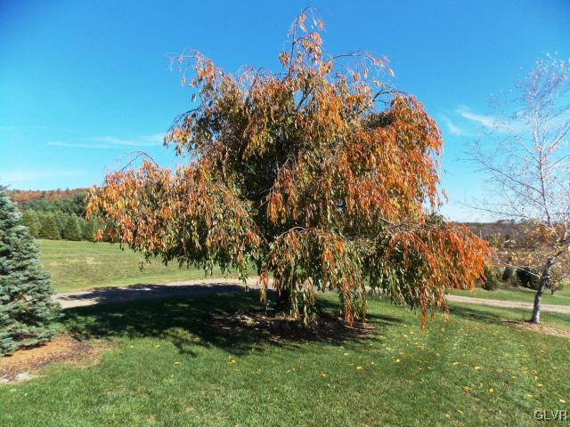 937 Mill Road Lehighton, PA 18235 - Photo 8 of 29 Gallery Image 8