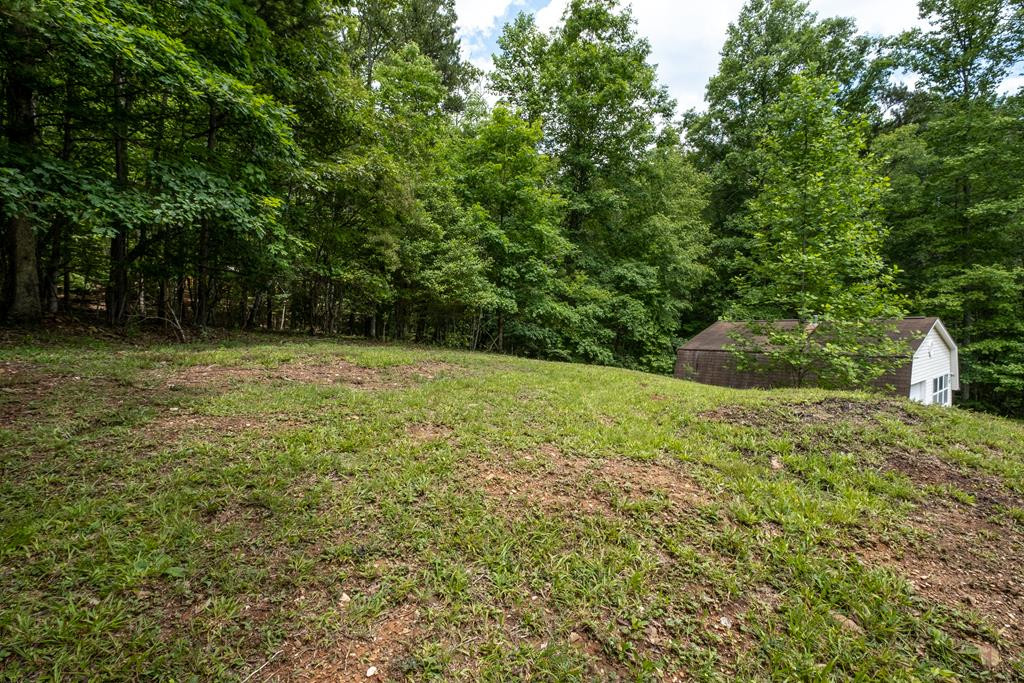 92 Blissful Ridge Murphy, NC 28906 - Photo 19 of 30
