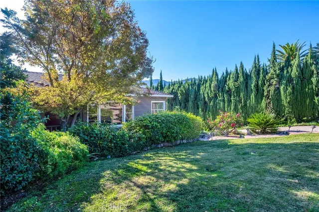 a view of a backyard with plants and large trees