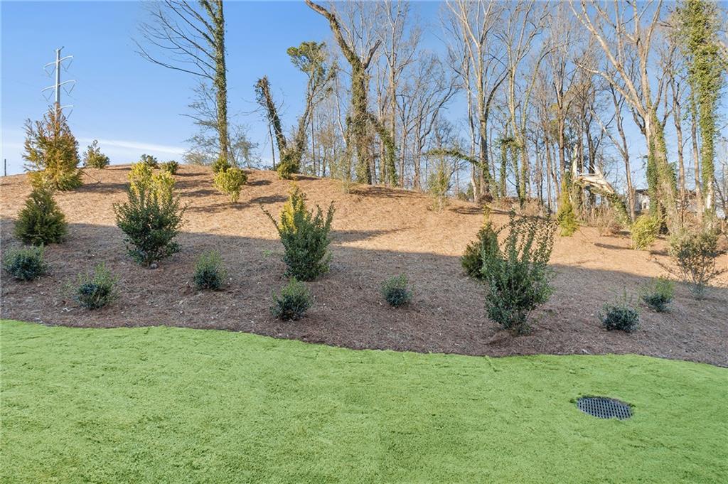 191 Redbud Road Canton, GA 30114 - Photo 14 of 15 a view of swimming pool with a yard