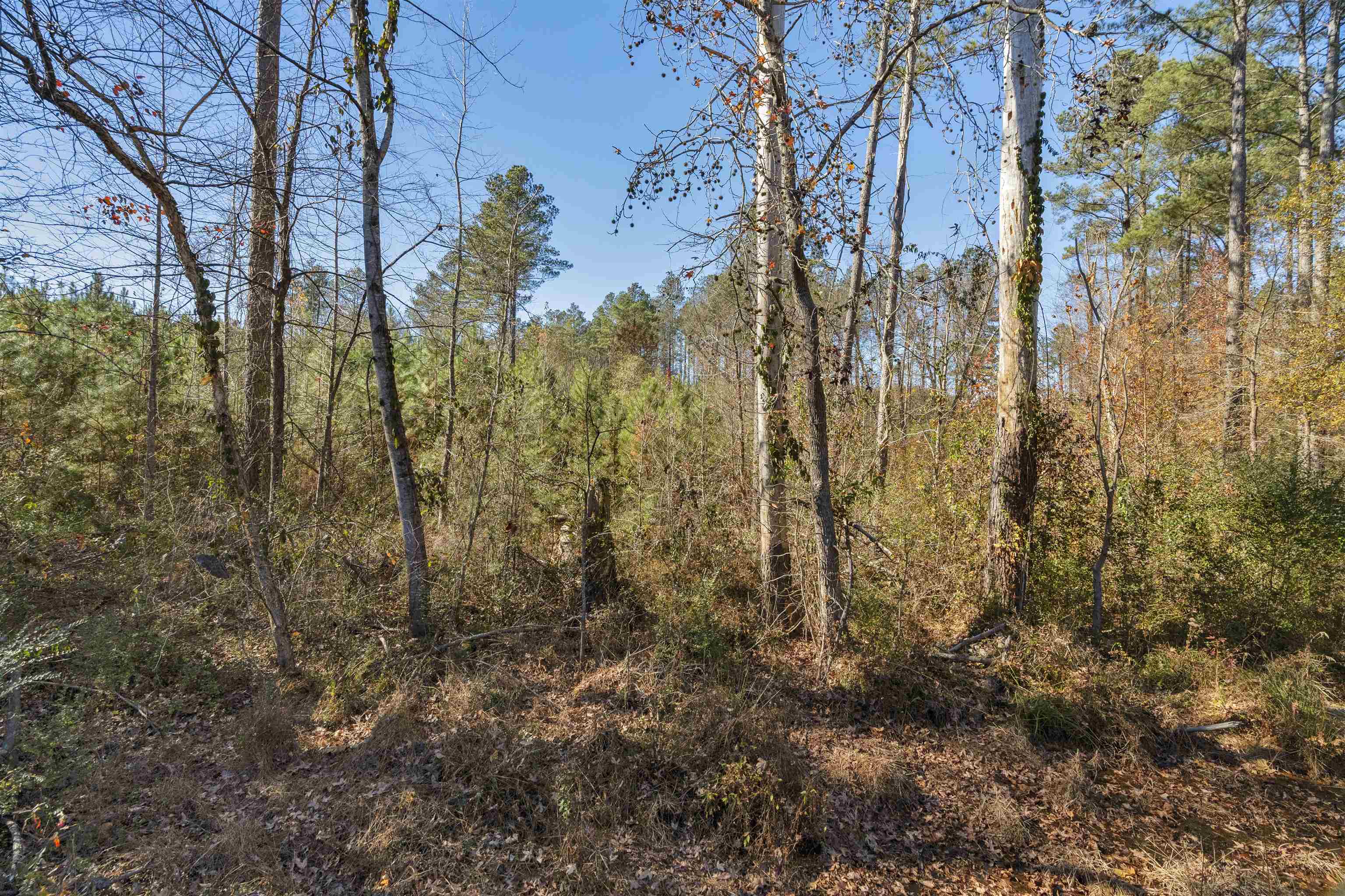 0 Quarter Round Road Pacolet, SC 29372 - Photo 42 of 45 Gallery Image 42