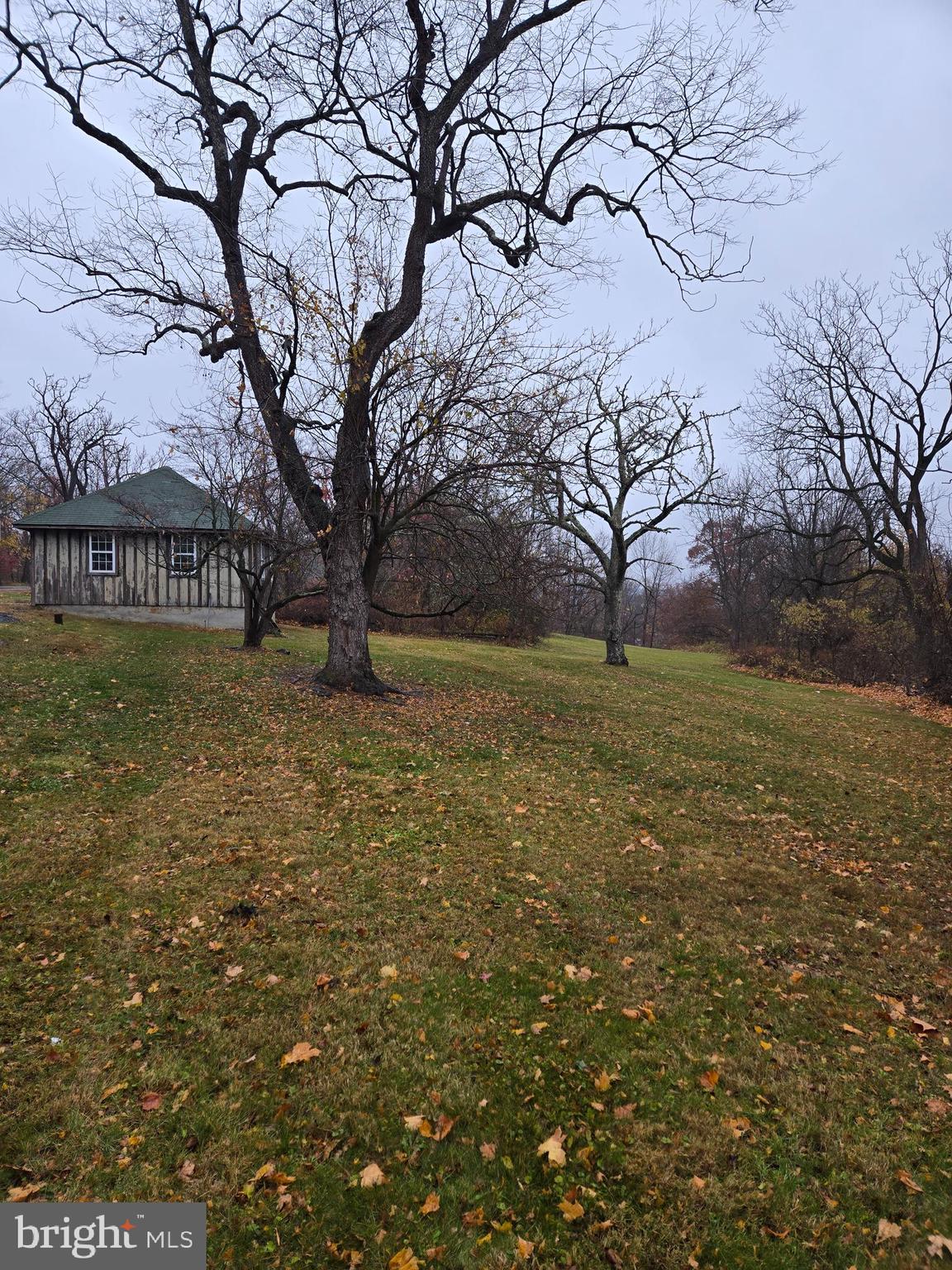 6 Township Line Road Line Lexington, PA 18932 - Photo 38 of 43 a view of yard with tree in front of it