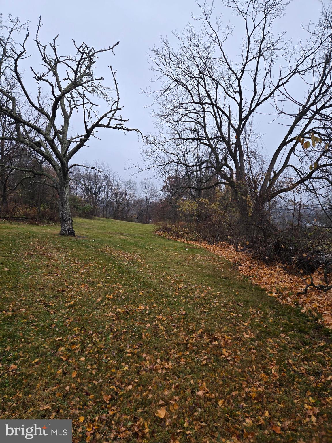 6 Township Line Road Line Lexington, PA 18932 - Photo 39 of 43 a view of a field with an trees
