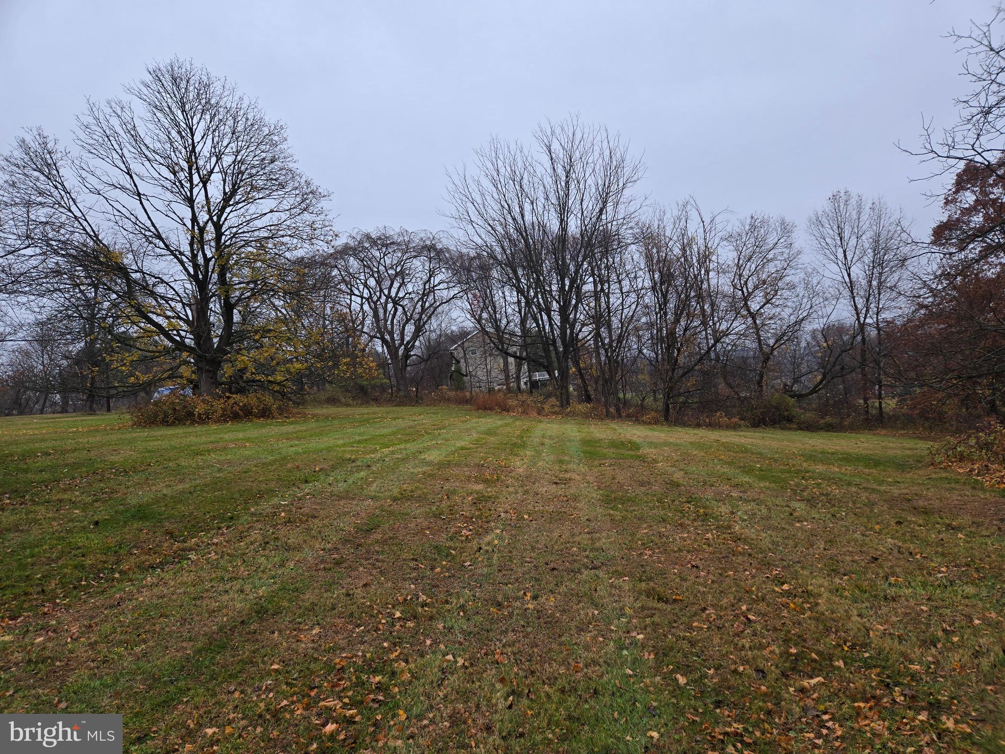 6 Township Line Road Line Lexington, PA 18932 - Photo 40 of 43 a view of a field with trees