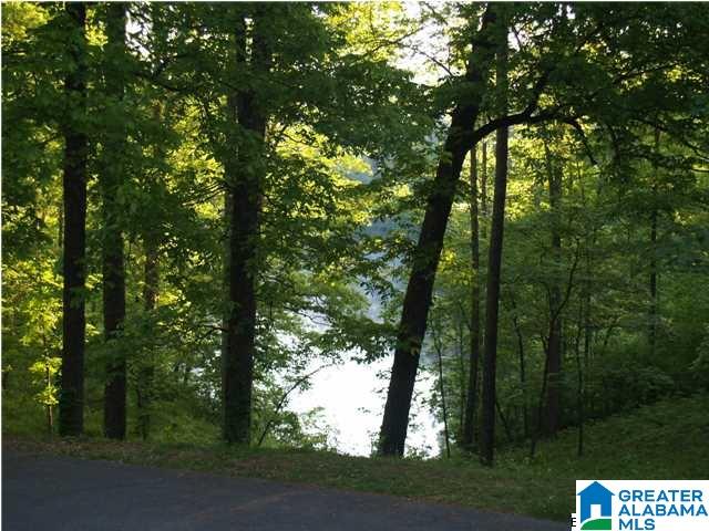 65 Hollow Road South, Unit 4 Blountsville, AL 35031 - Photo 14 of 14