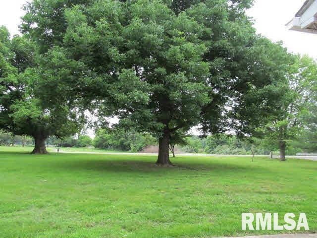 5311 Richview Road Mount Vernon, IL 62864 - Photo 28 of 34