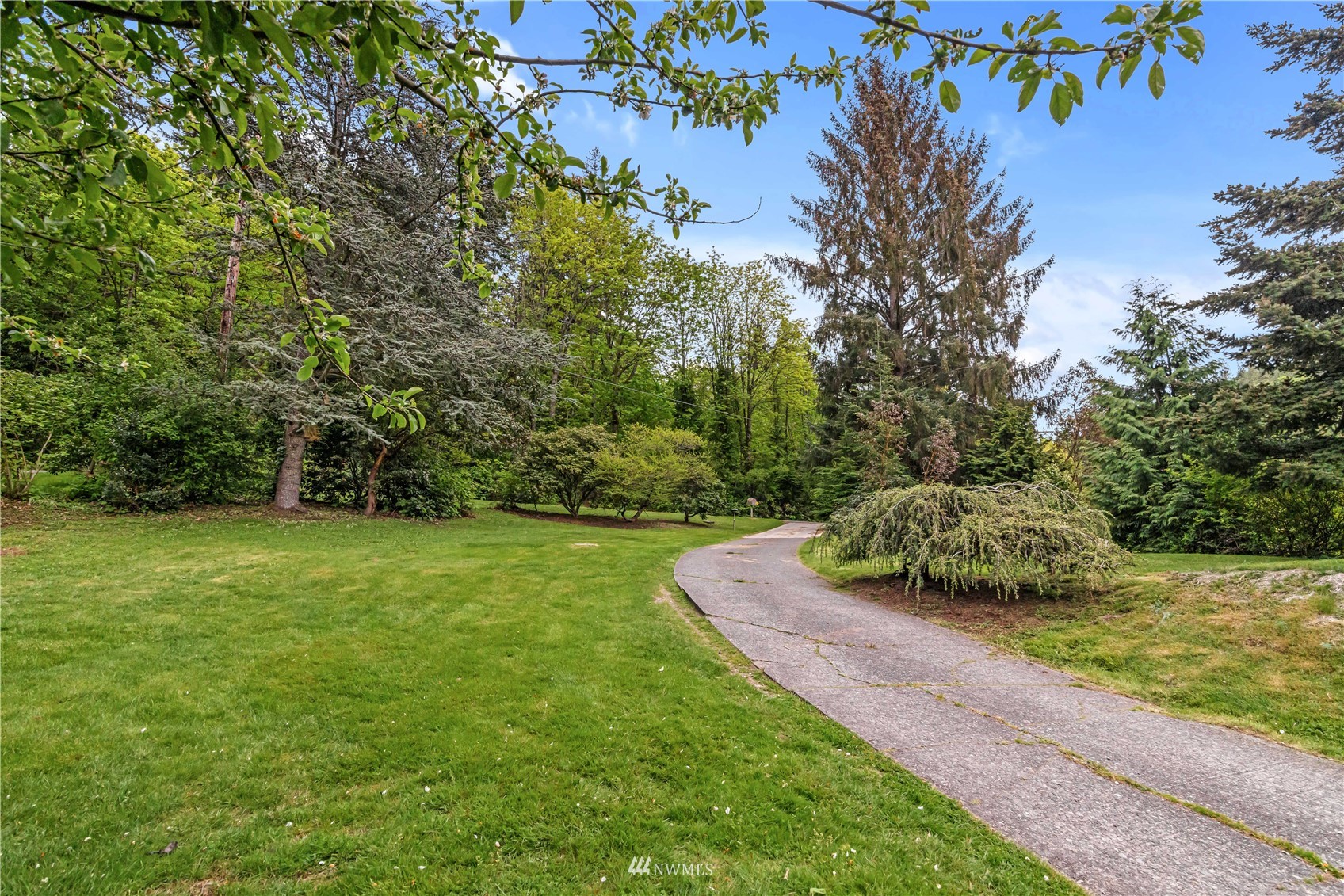 591 Pleasant Bay Road Bellingham, WA 98229 - Photo 6 of 40 a view of a park with large trees