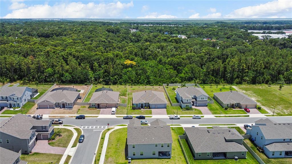 5264 Obsidian Gate Road Mount Dora, FL 32757 - Photo 46 of 49