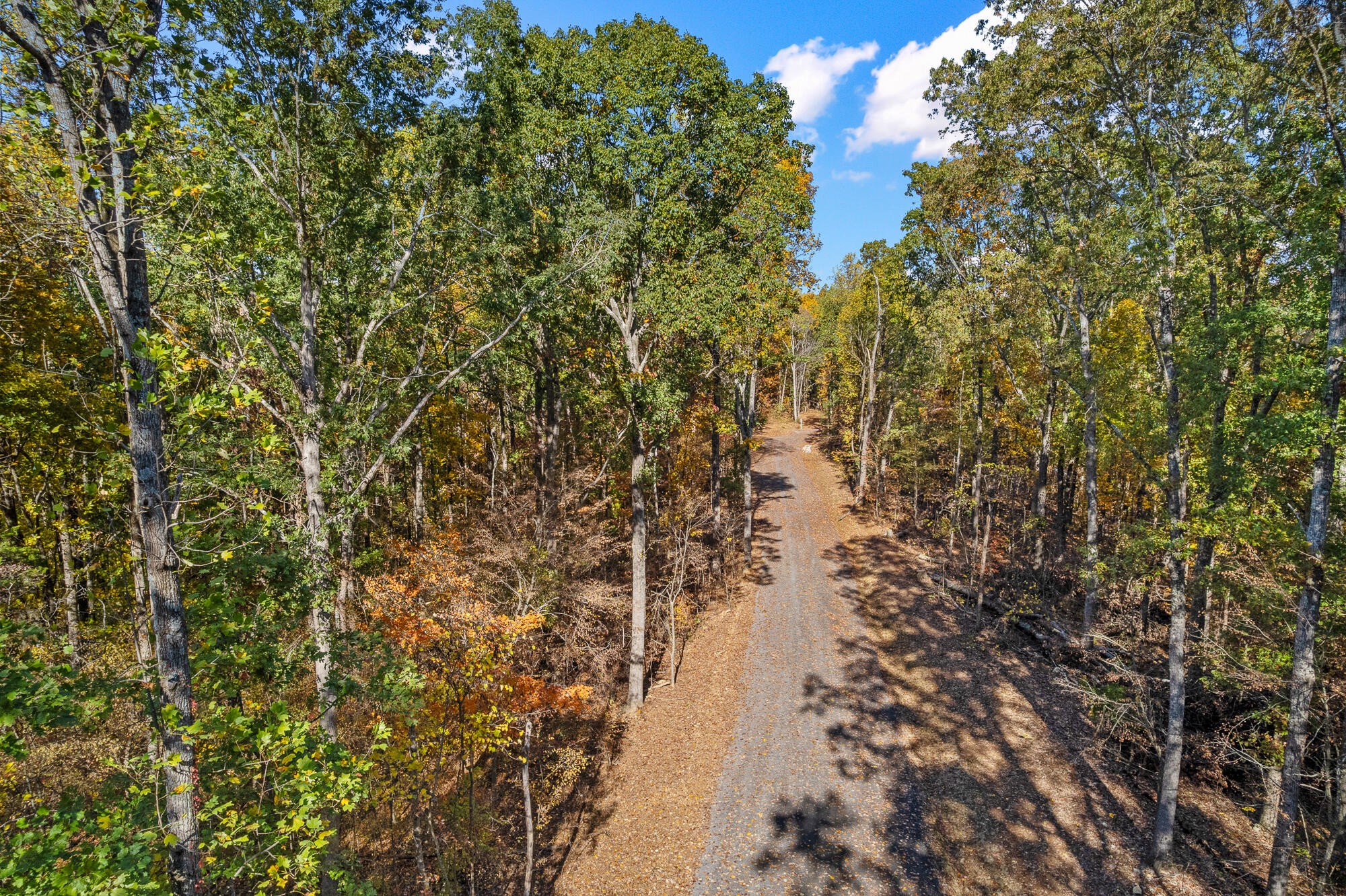 29 County Road Riceville, TN 37370 - Photo 14 of 29 Gallery Image 14