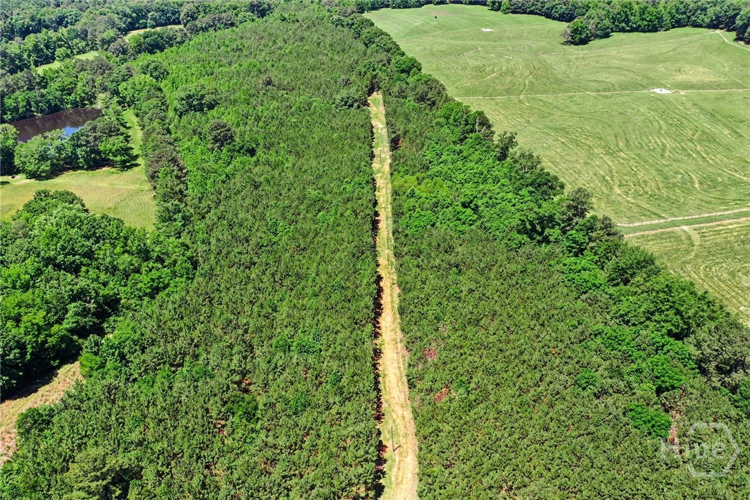X0-x0 Court Ground Road Rayle, GA 30660 - Photo 2 of 15