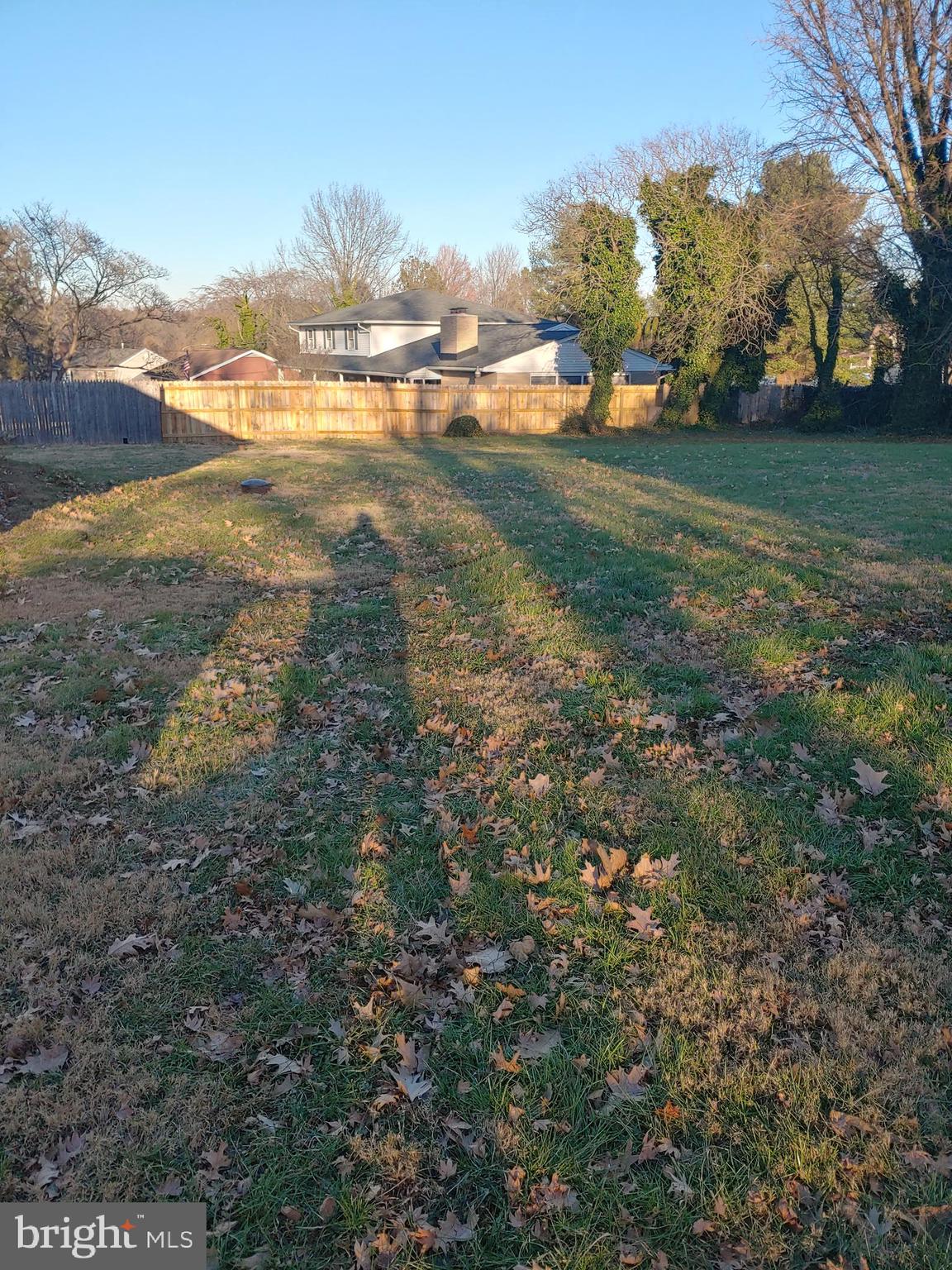 1016 Nottingham Road Newark, DE 19711 - Photo 6 of 15 Back lawn