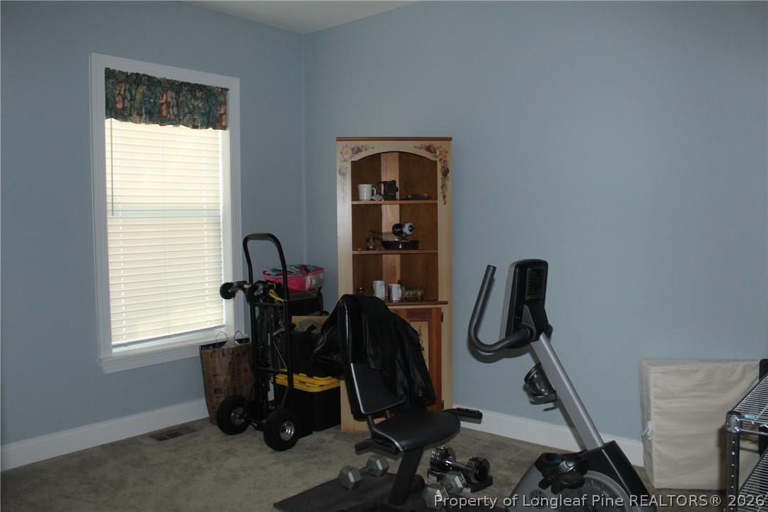951 Lucian Hilliard Road Goldston, NC 27252 - Photo 20 of 25 a view of storage and utility room with windows