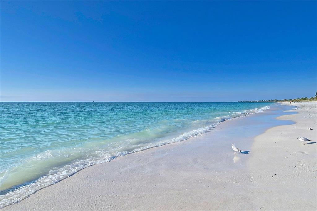 2233 Alice Road Sarasota, FL 34231 - Photo 29 of 30 a view of beach and ocean