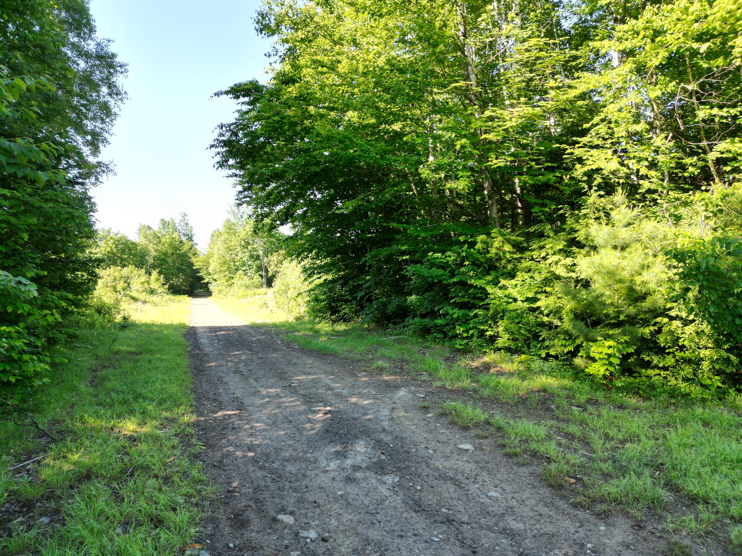 Lot 2 Bear Lane Springfield, ME 04487 - Photo 2 of 16 DJI_0723