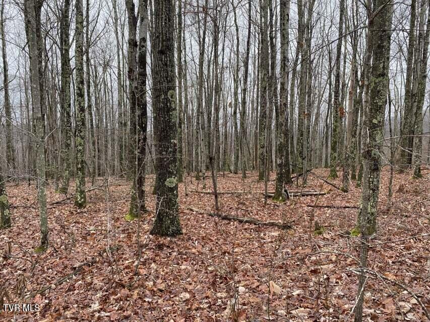 Tbd Pine Camp Road Coeburn, VA 24230 - Photo 1 of 10 12