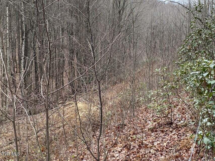 Tbd Pine Camp Road Coeburn, VA 24230 - Photo 2 of 10 1