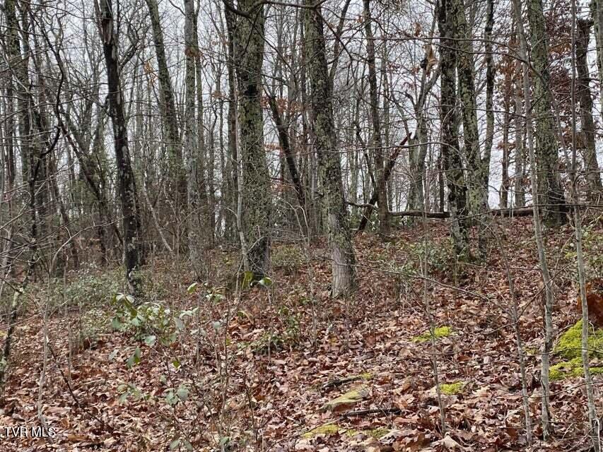 Tbd Pine Camp Road Coeburn, VA 24230 - Photo 4 of 10 4