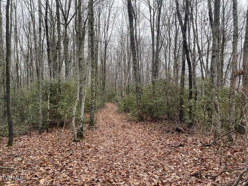 Tbd Pine Camp Road Coeburn, VA 24230 - Photo 5 of 10 5