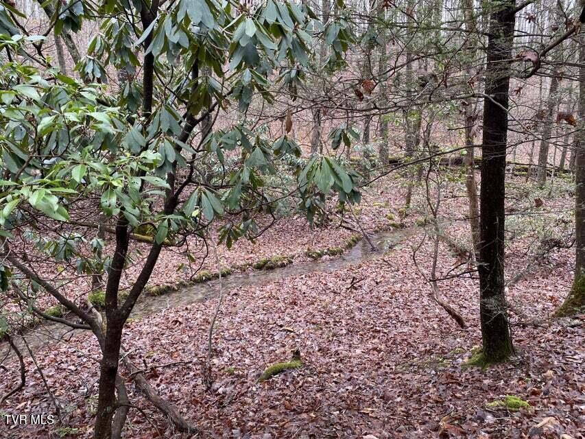 Tbd Pine Camp Road Coeburn, VA 24230 - Photo 7 of 10 7