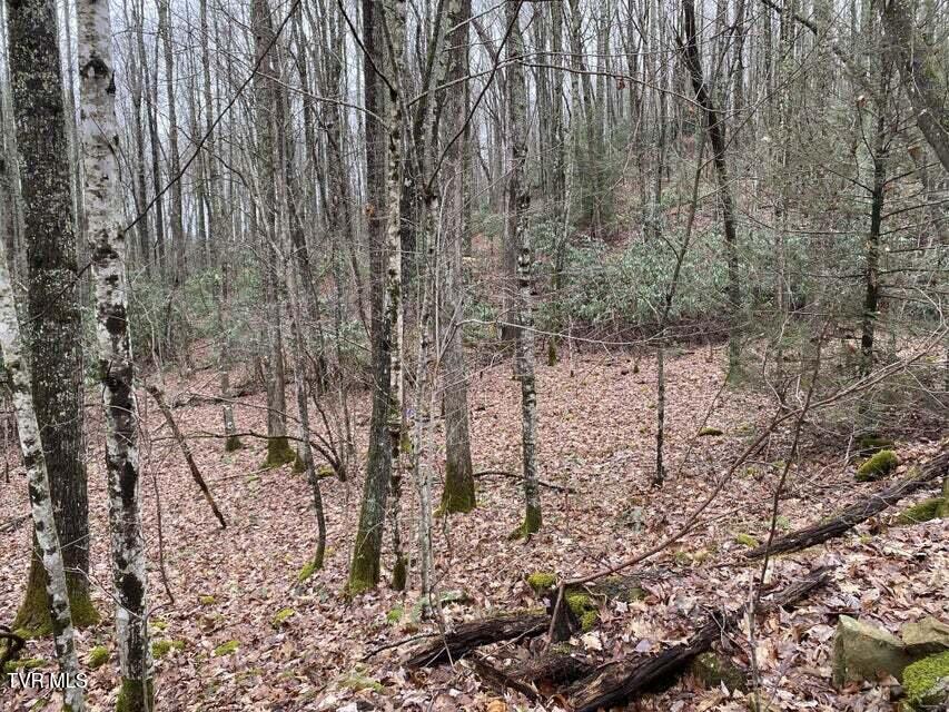 Tbd Pine Camp Road Coeburn, VA 24230 - Photo 8 of 10 8