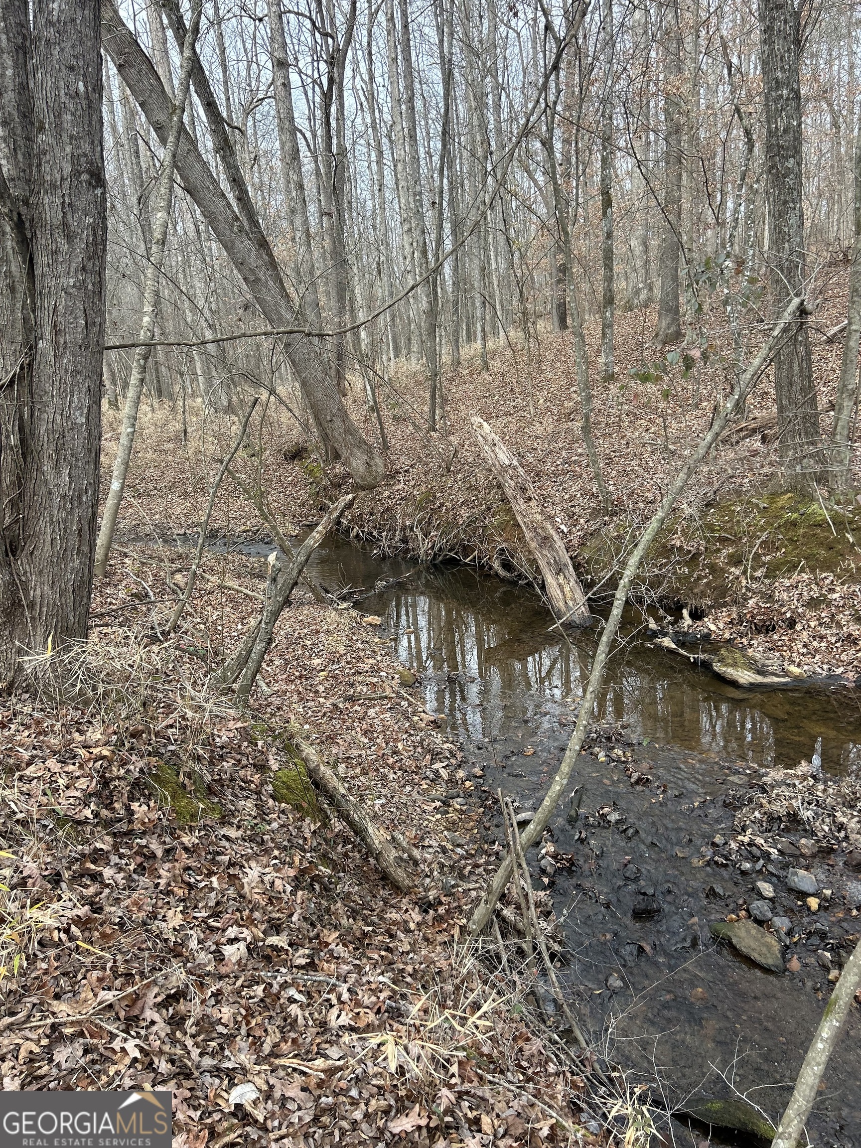 1425 Dowdy Road Roopville, GA 30170 - Photo 31 of 31 a lake view