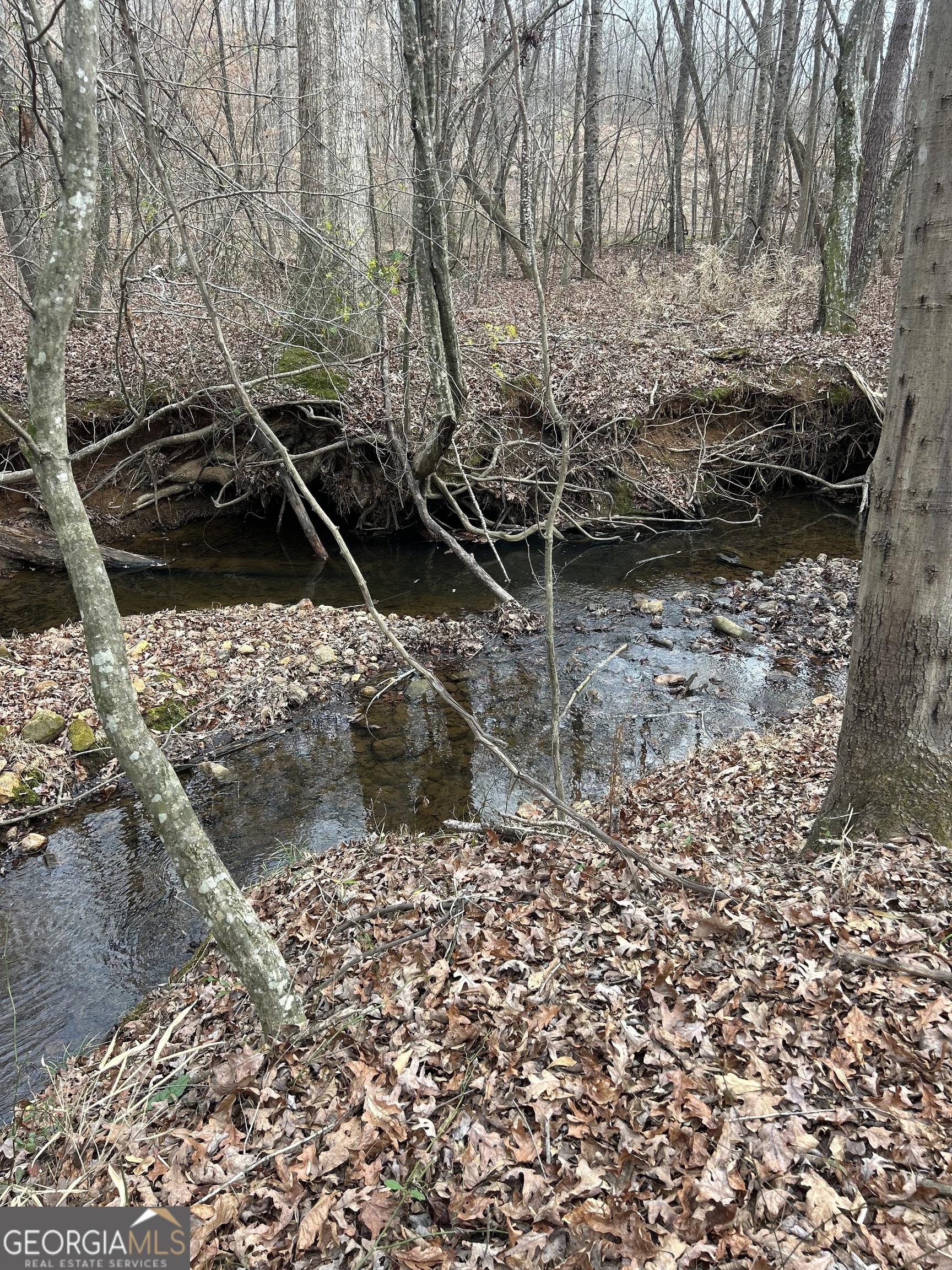 1425 Dowdy Road Roopville, GA 30170 - Photo 4 of 31 a view of a yard with wooden fence