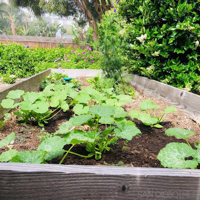 874 Arden Drive Encinitas, CA 92024 - Photo 22 of 25 a view of a garden with a bench