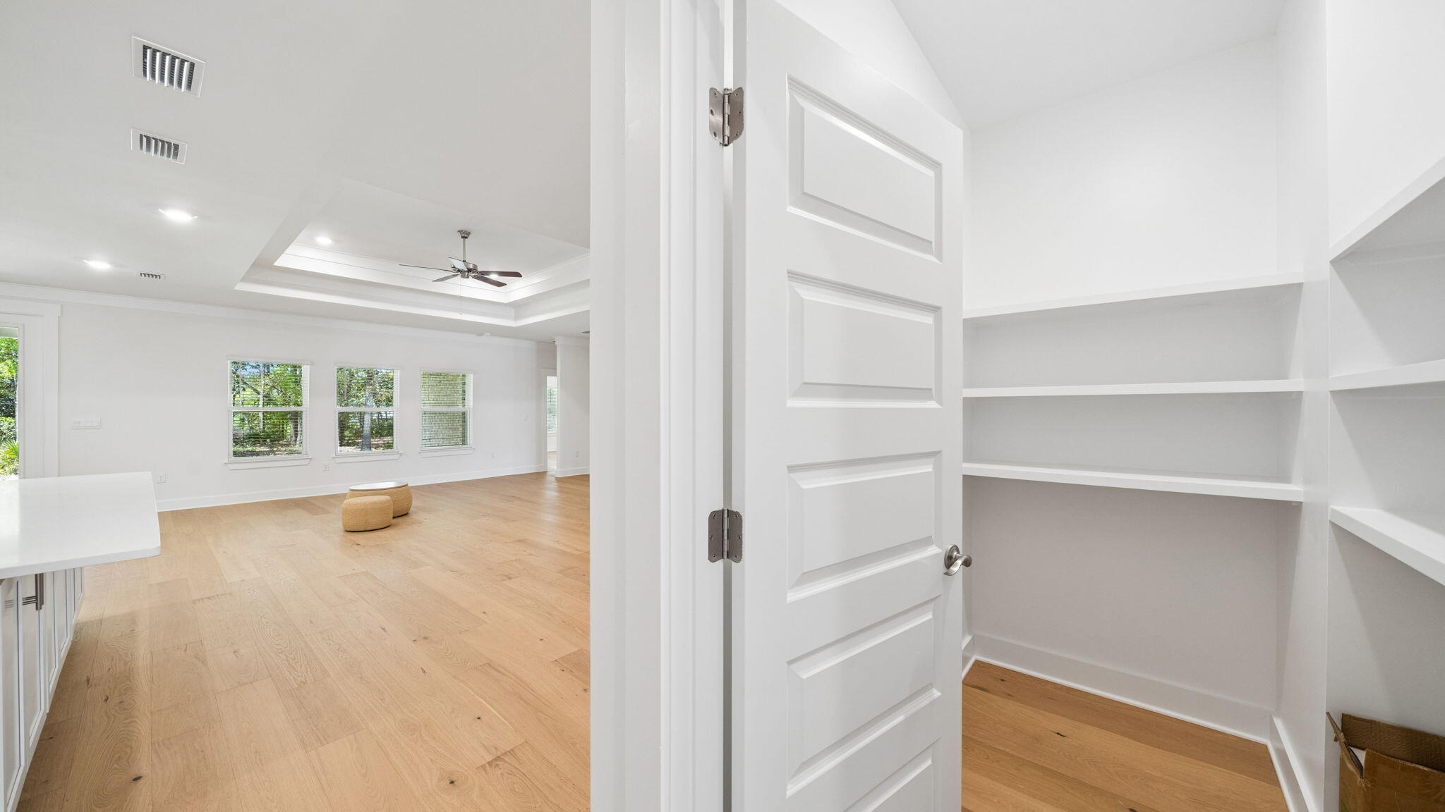 785 Old Ferry Road Santa Rosa Beach, FL 32459 - Photo 19 of 56 a view of walk in closet with empty racks