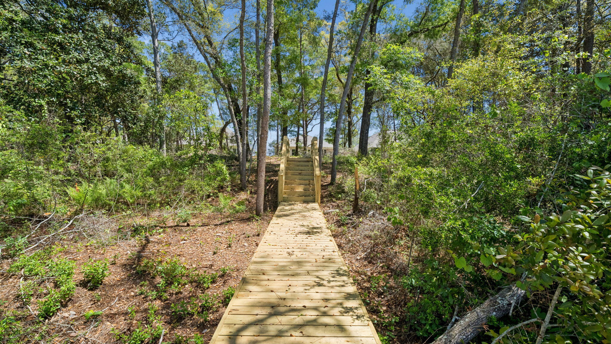 785 Old Ferry Road Santa Rosa Beach, FL 32459 - Photo 46 of 56 a view of a pathway both side of yard