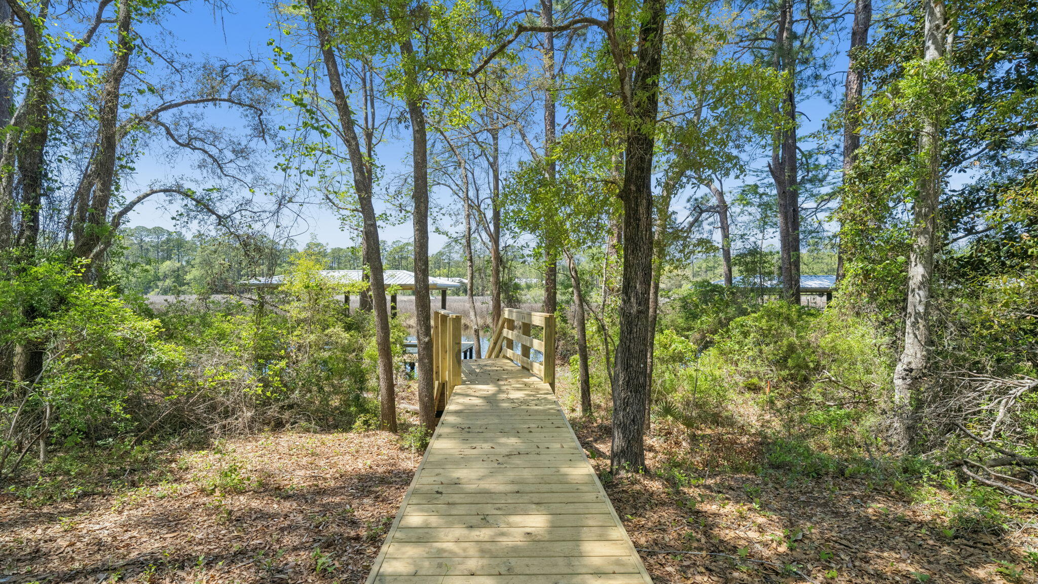 785 Old Ferry Road Santa Rosa Beach, FL 32459 - Photo 49 of 56 Walkway to Dock/Boat Lift