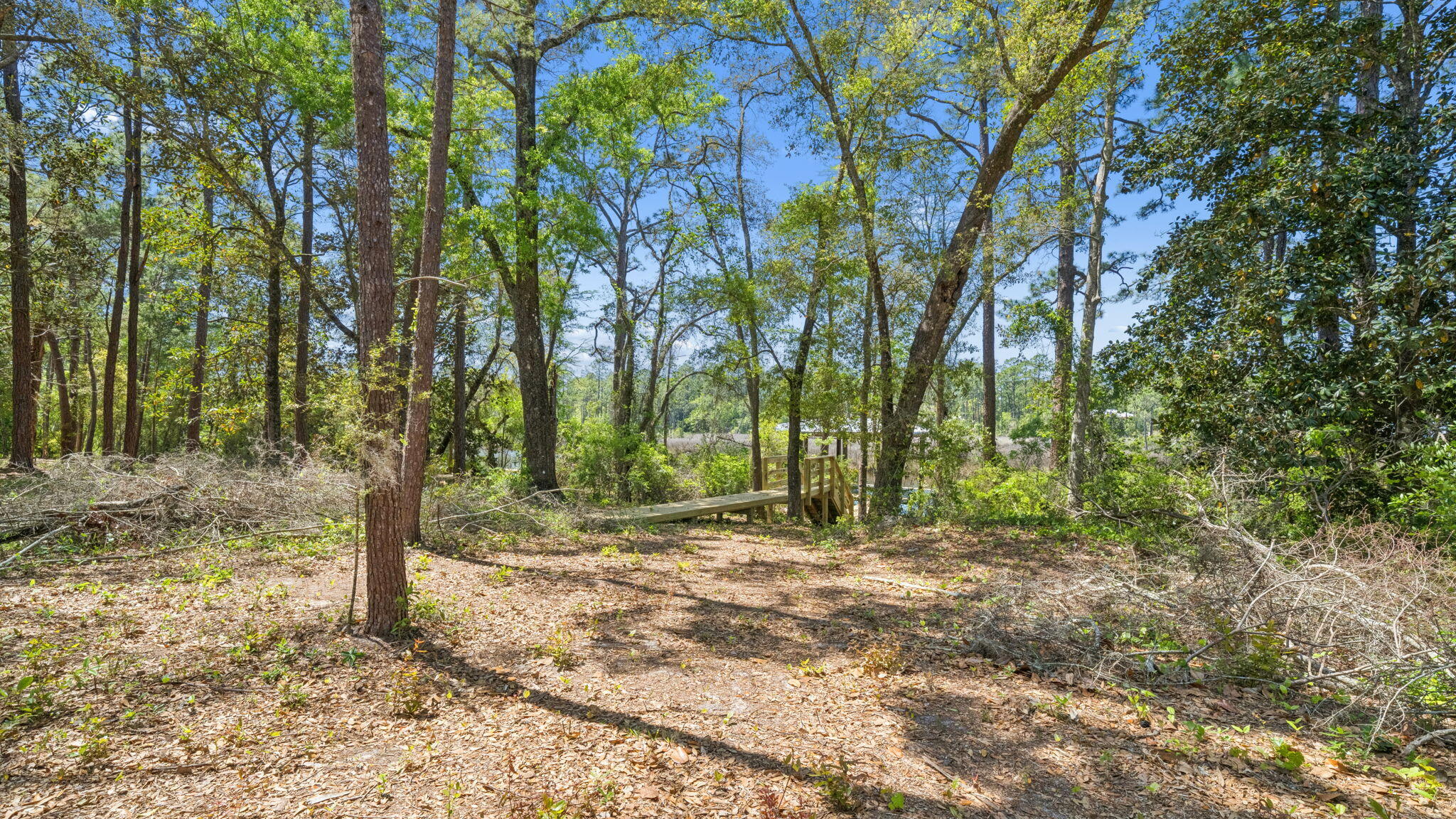 785 Old Ferry Road Santa Rosa Beach, FL 32459 - Photo 50 of 56 a view of outdoor space with trees