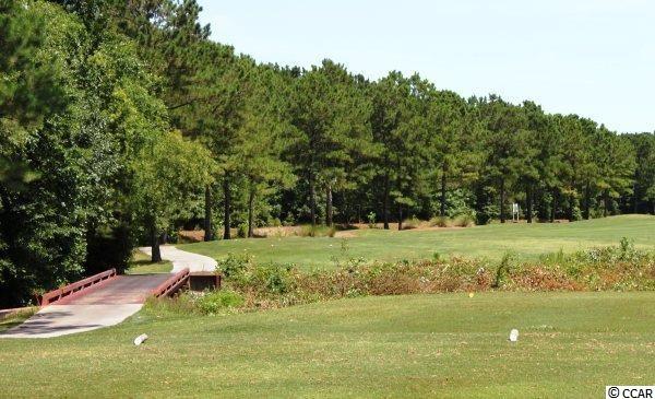 1505 Chestnut Bay Court Murrells Inlet, SC 29576 - Photo 22 of 22 Gallery Image 22