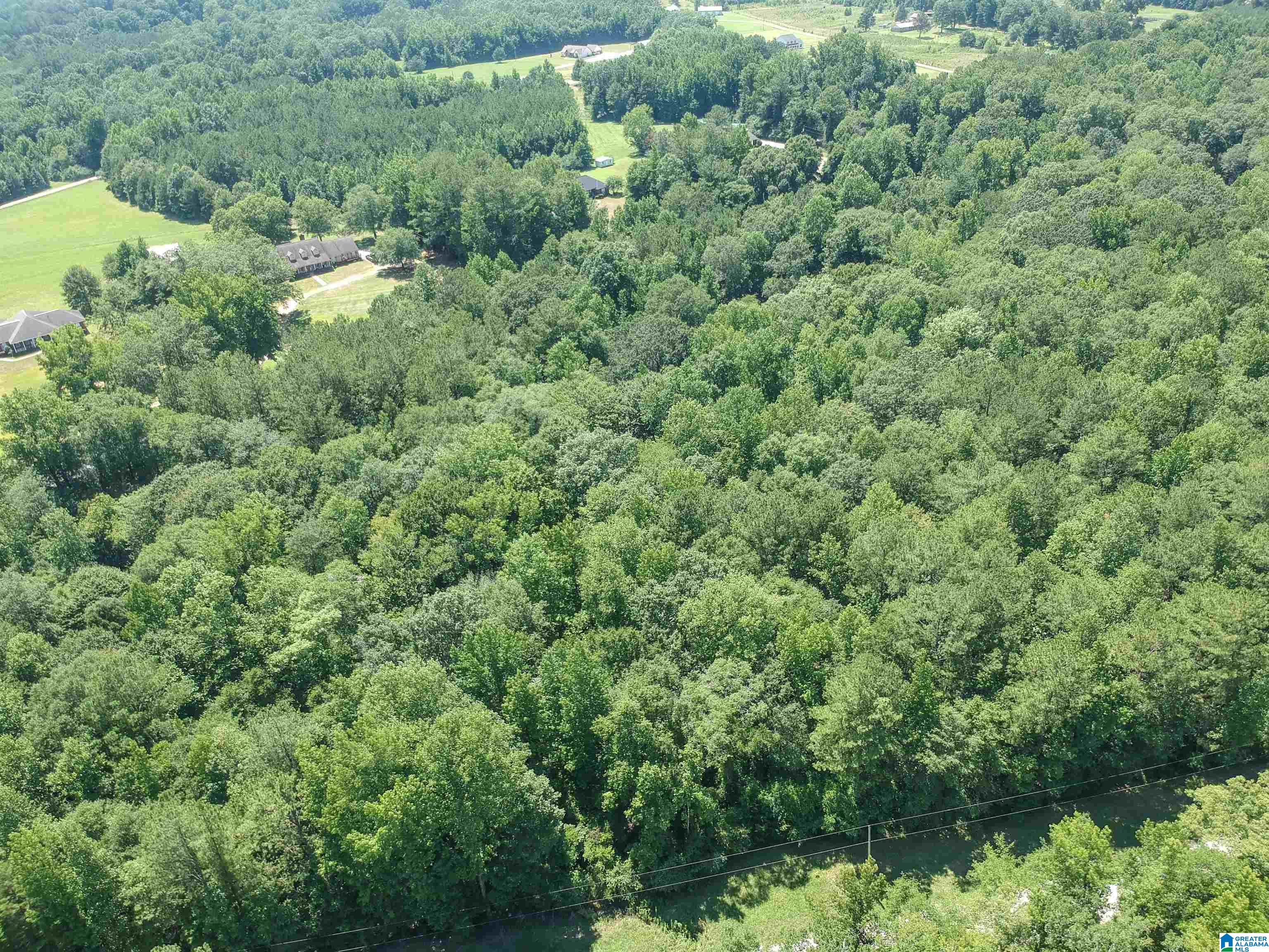 0 Upper Columbus Road Coker, AL 35452 - Photo 6 of 15